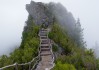世界体能恢复科研样本库跨机构数据共享平台开放申请通道，世界体能大赛