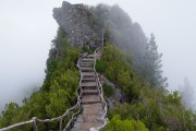 世界体能恢复科研样本库跨机构数据共享平台开放申请通道，世界体能大赛